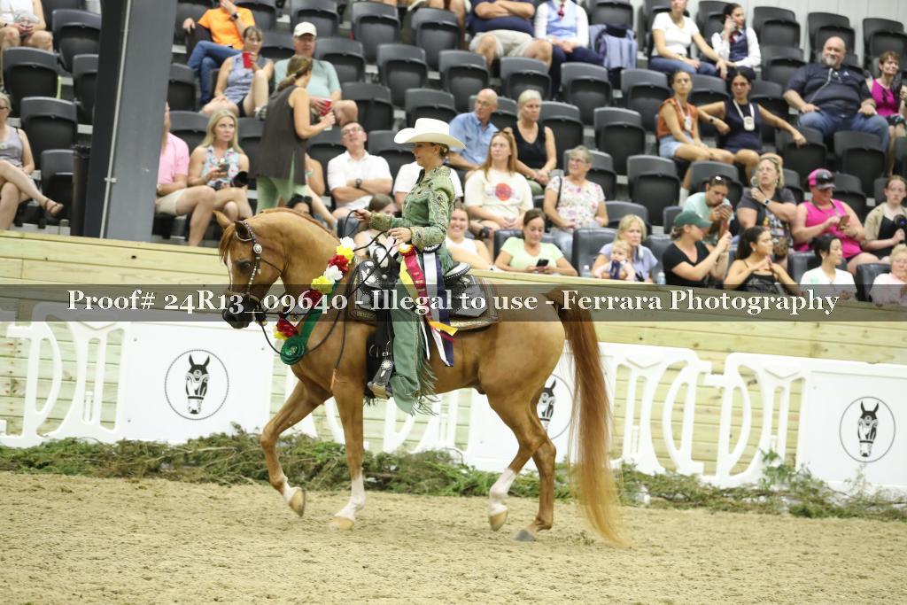 Proof 24R13_09640