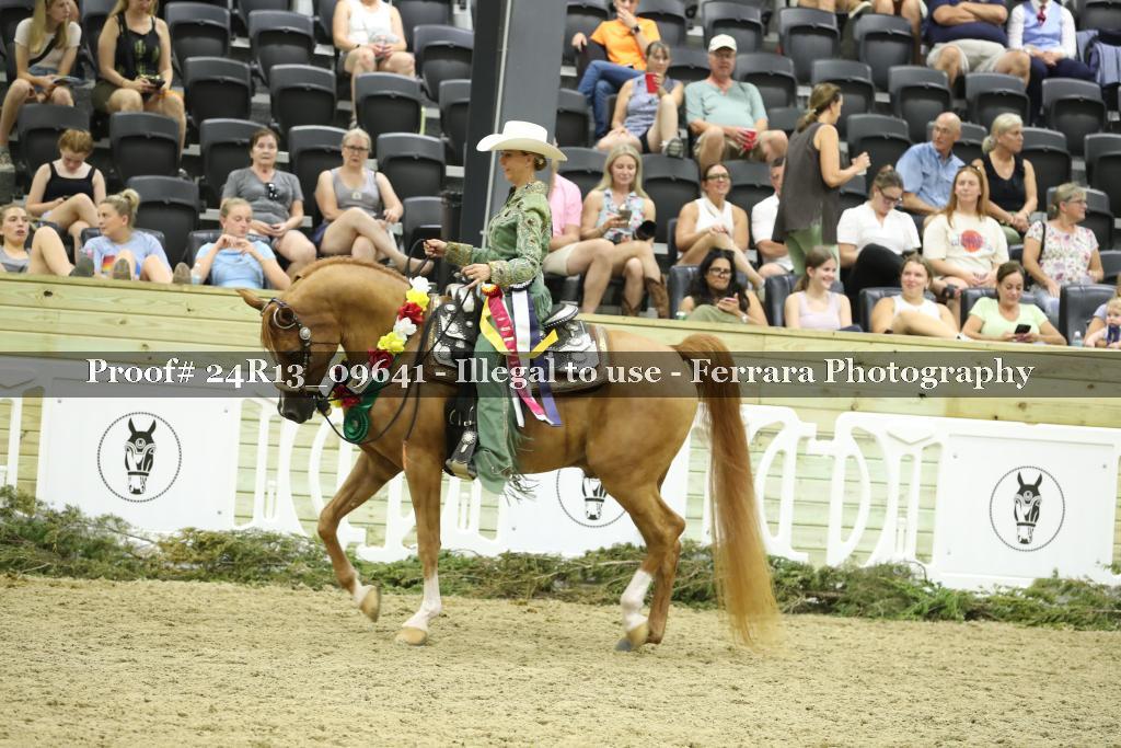 Proof 24R13_09641