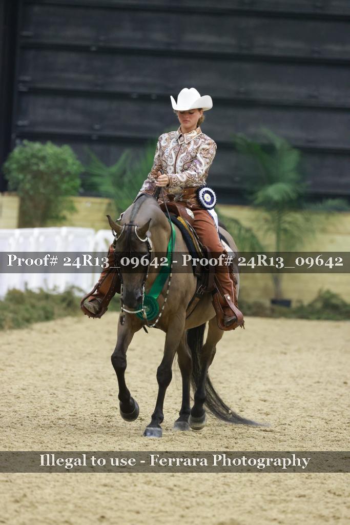 Proof 24R13_09642