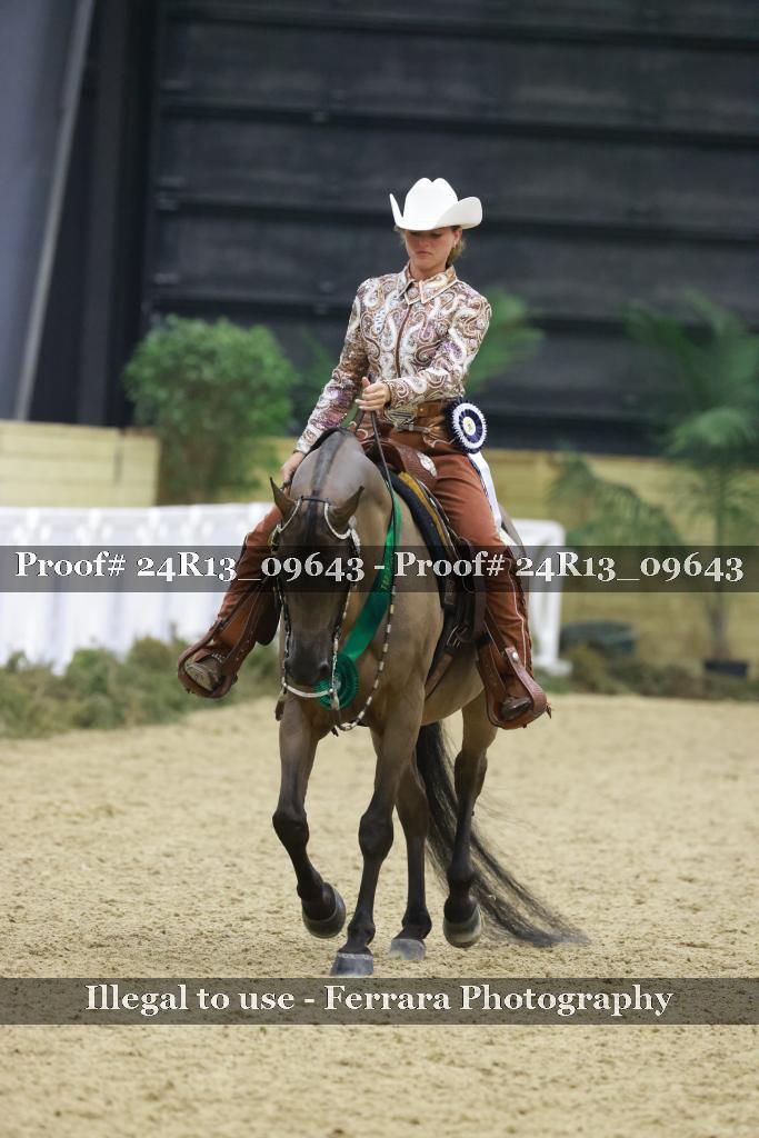 Proof 24R13_09643