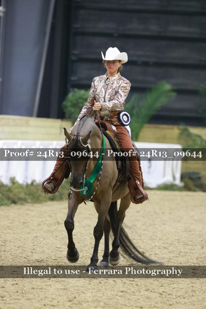 Proof 24R13_09644