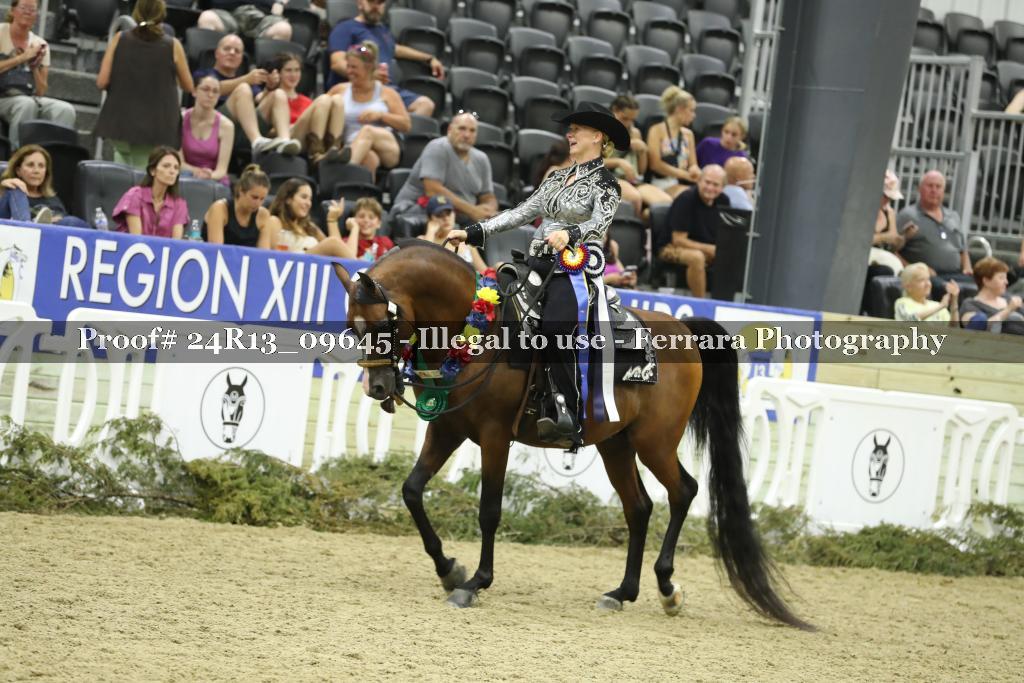 Proof 24R13_09645