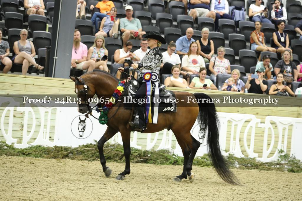 Proof 24R13_09650