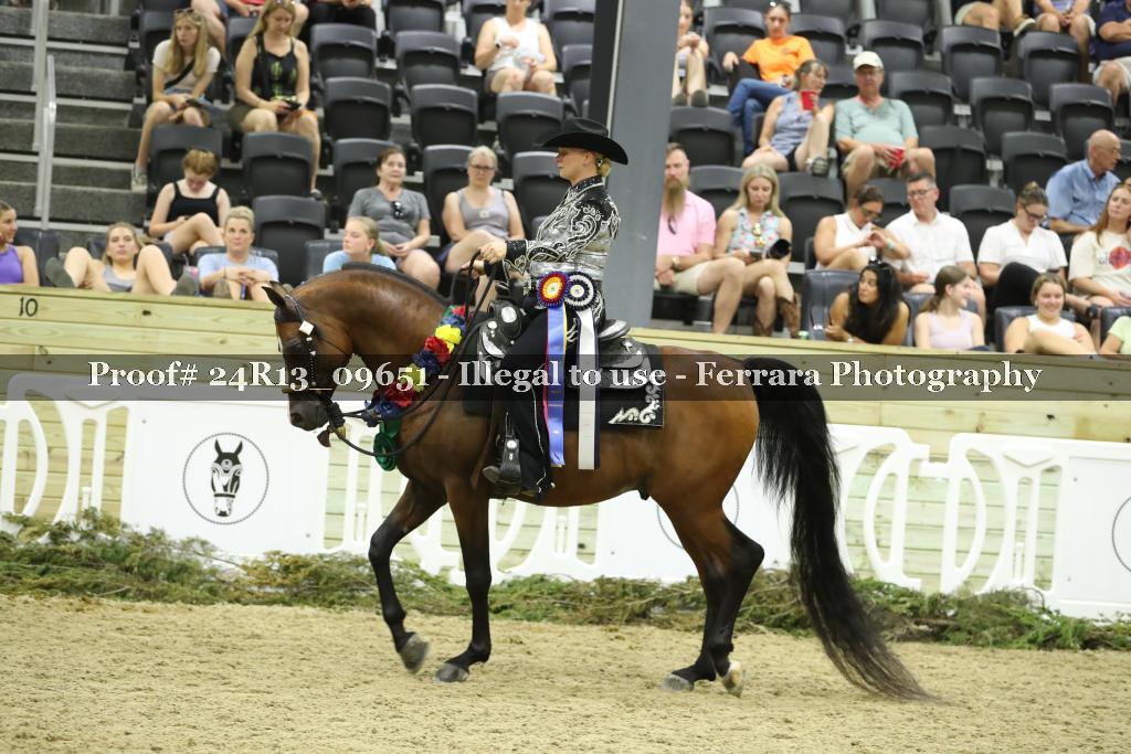 Proof 24R13_09651