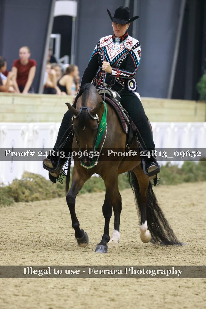 Proof 24R13_09652