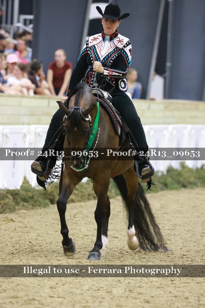 Proof 24R13_09653