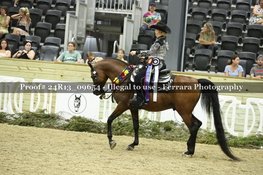 Proof 24R13_09654