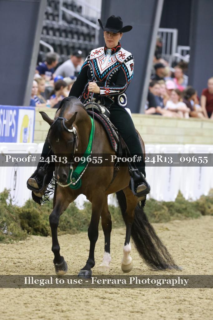 Proof 24R13_09655
