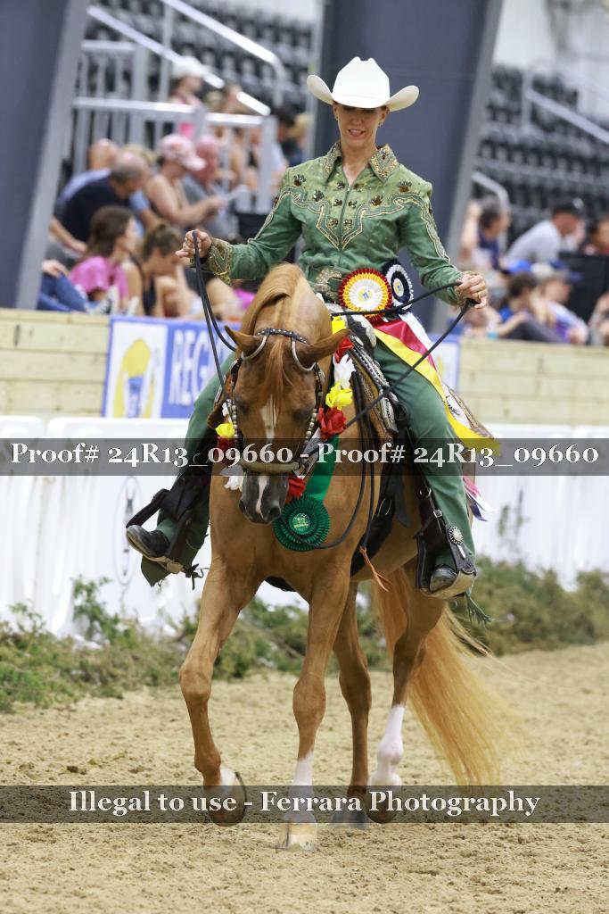Proof 24R13_09660
