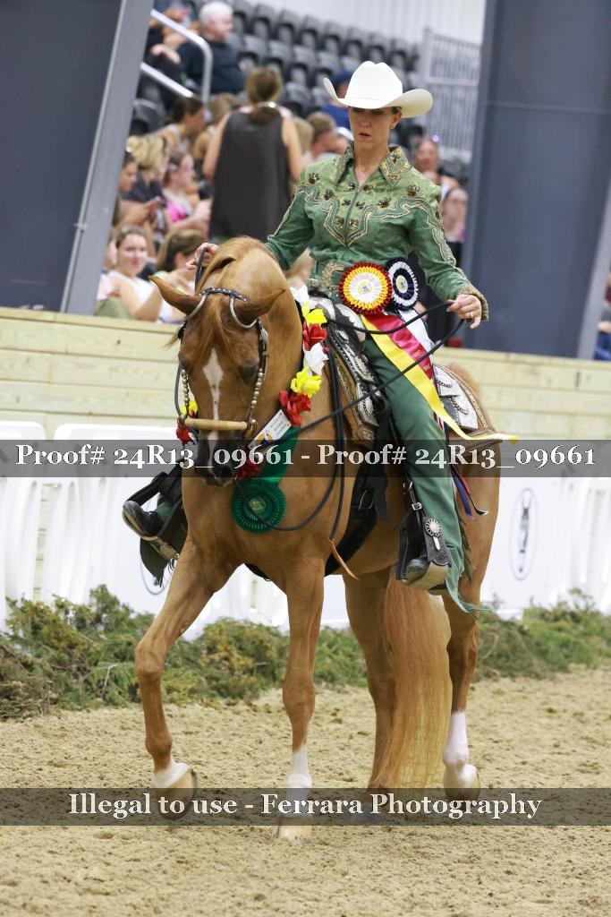 Proof 24R13_09661