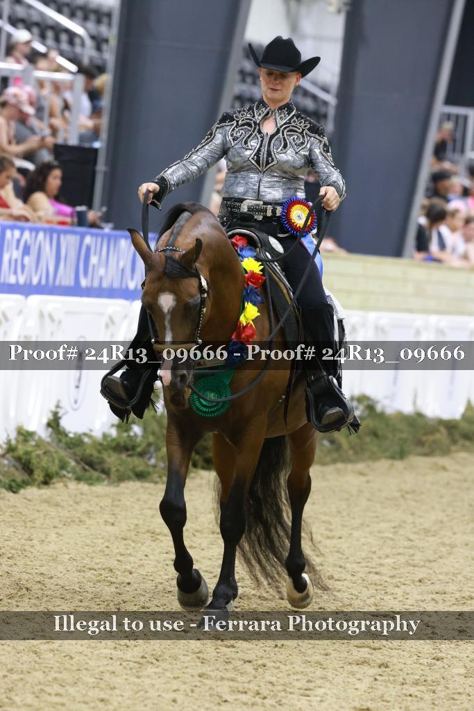Proof 24R13_09666