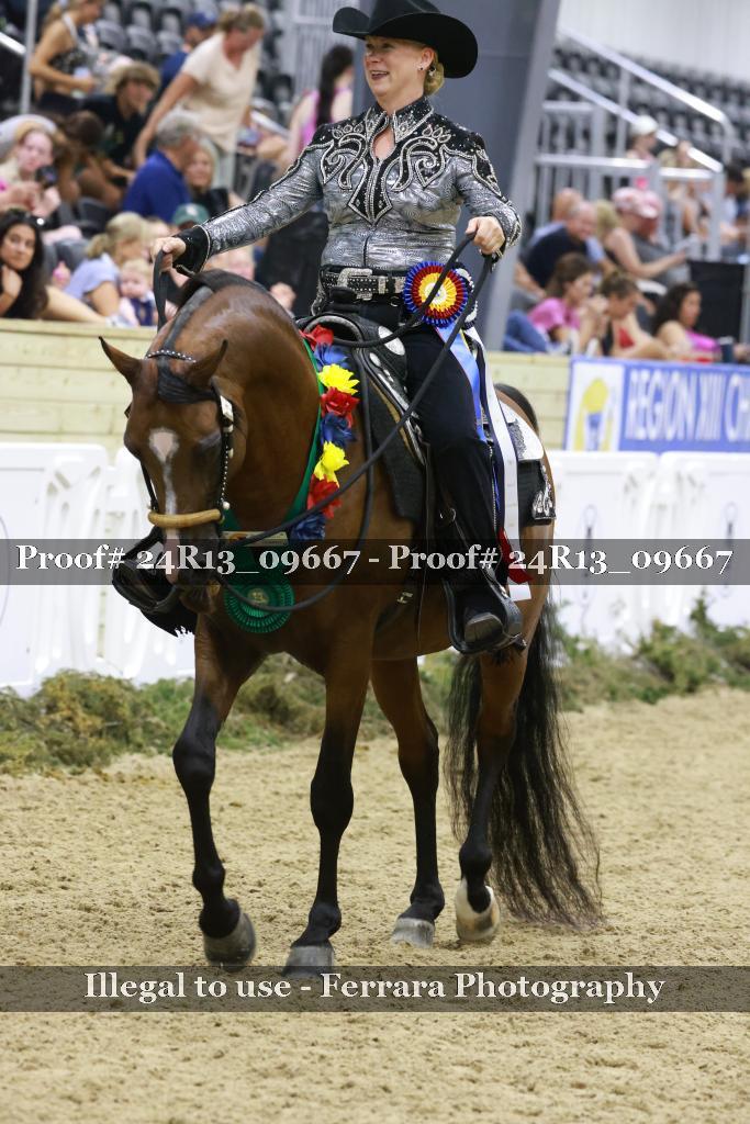 Proof 24R13_09667