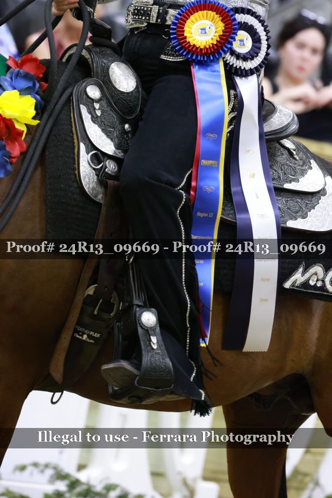 Proof 24R13_09669
