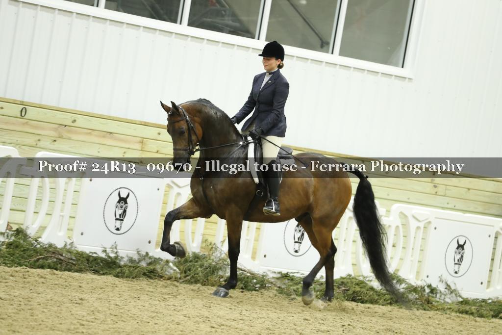 Proof 24R13_09670