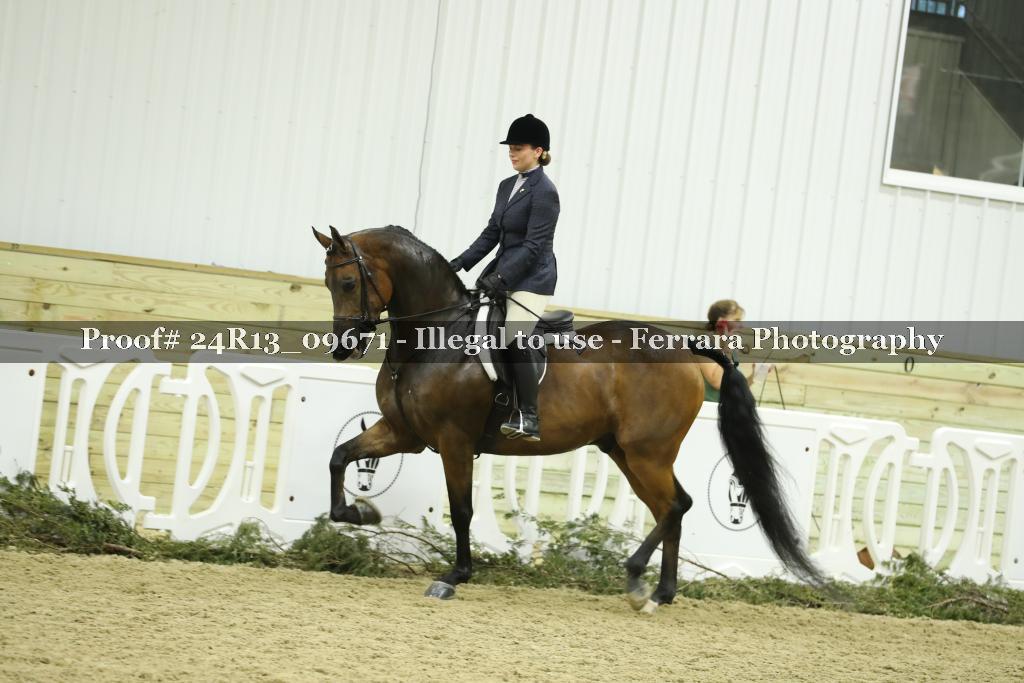 Proof 24R13_09671