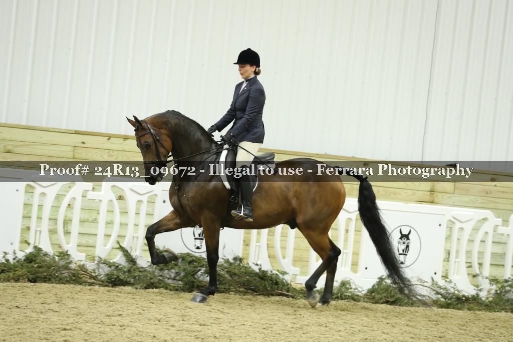 Proof 24R13_09672