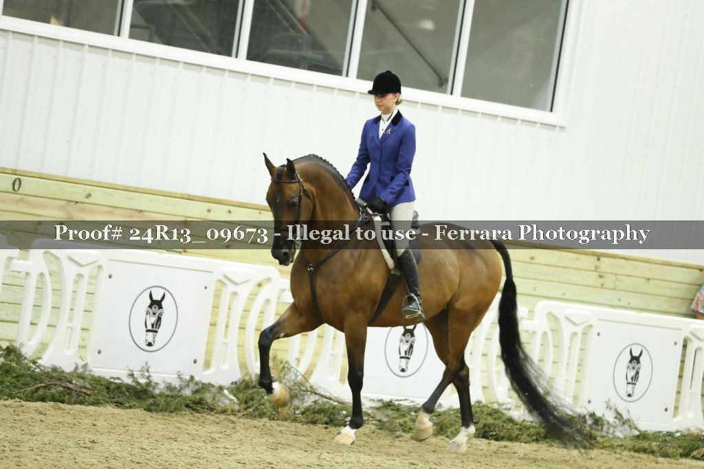 Proof 24R13_09673