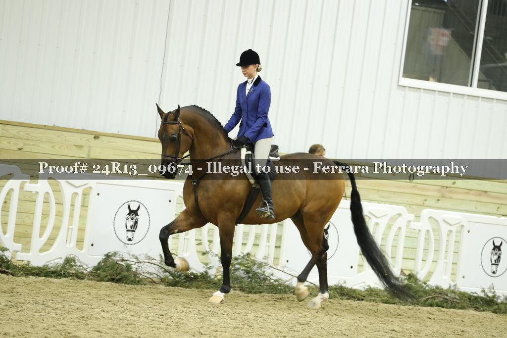 Proof 24R13_09674