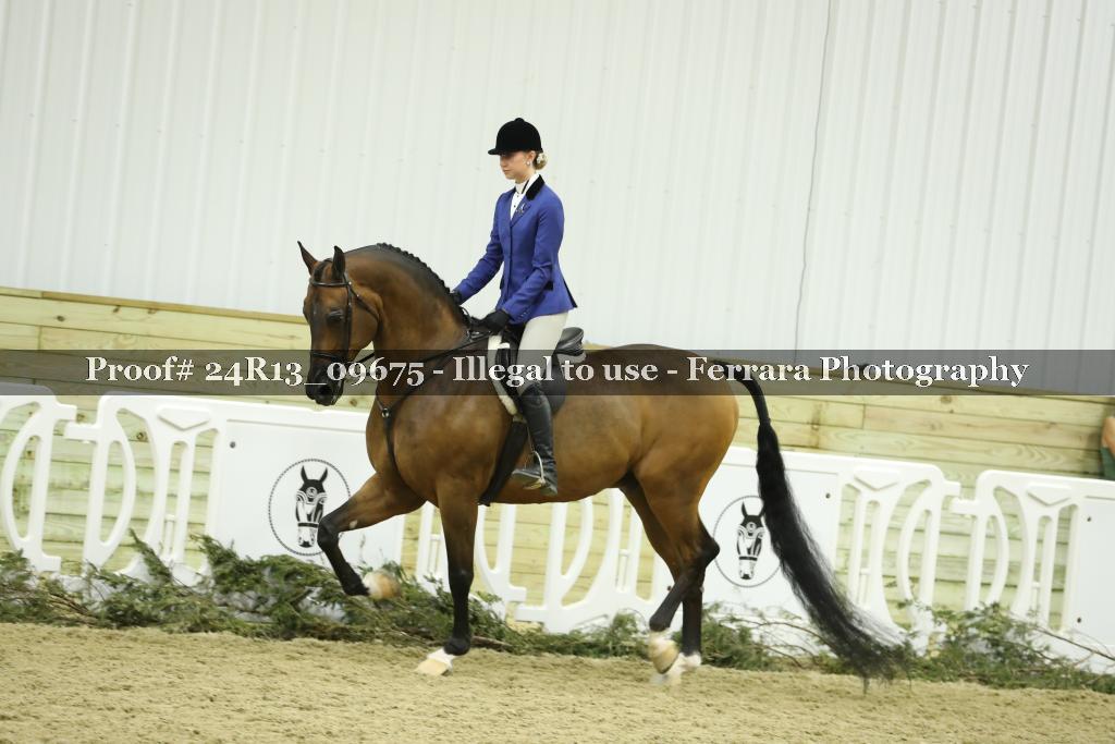 Proof 24R13_09675