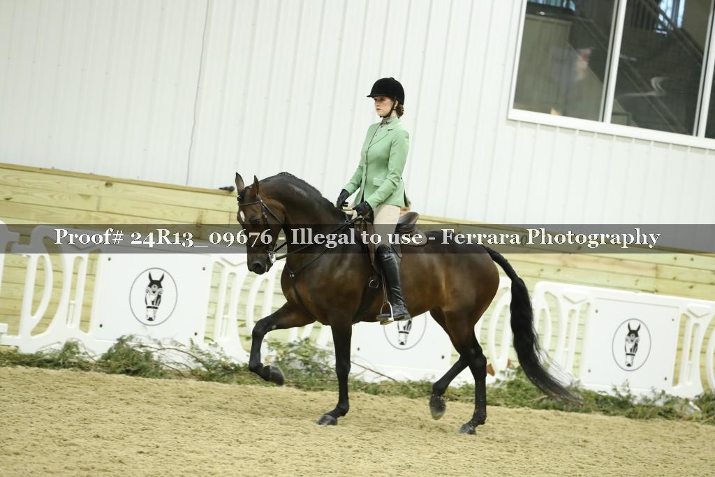 Proof 24R13_09676