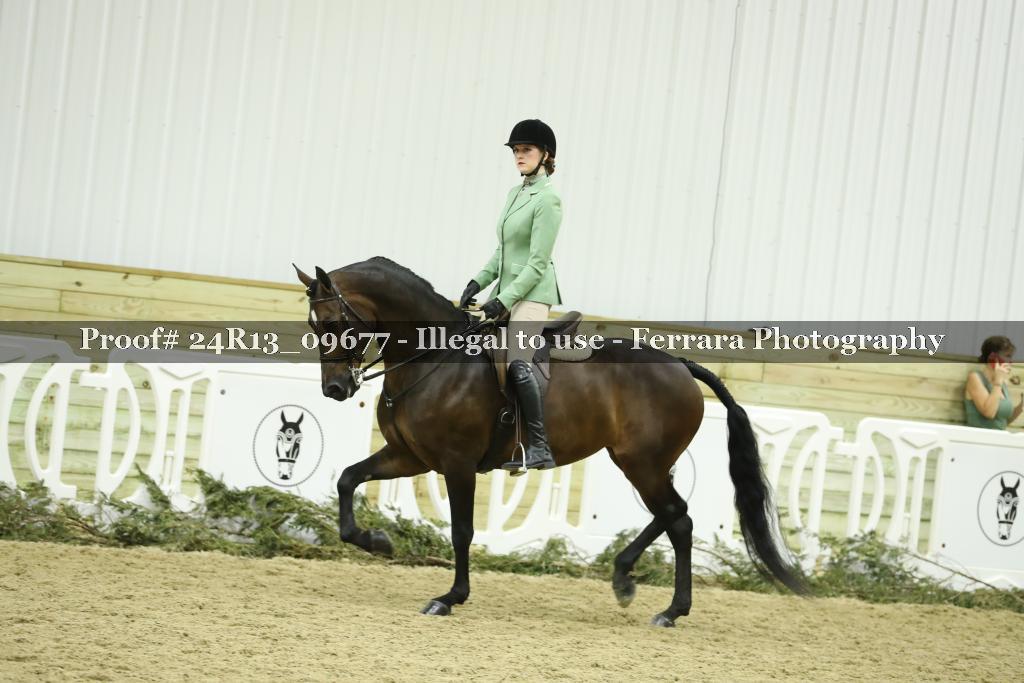 Proof 24R13_09677