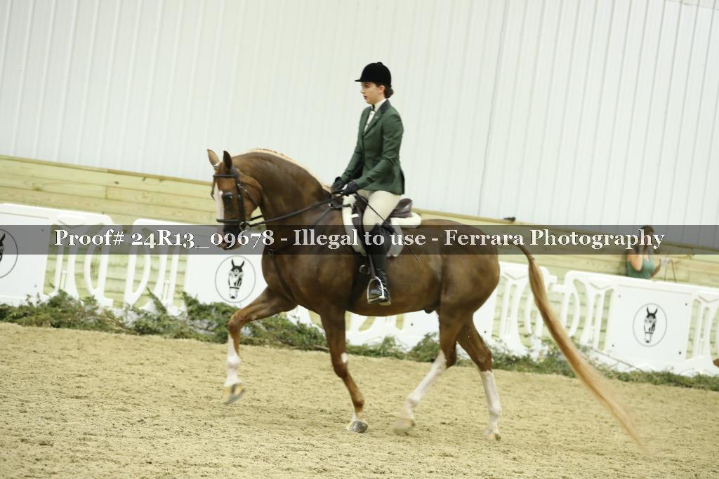 Proof 24R13_09678
