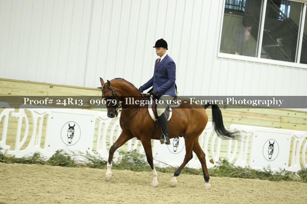 Proof 24R13_09679