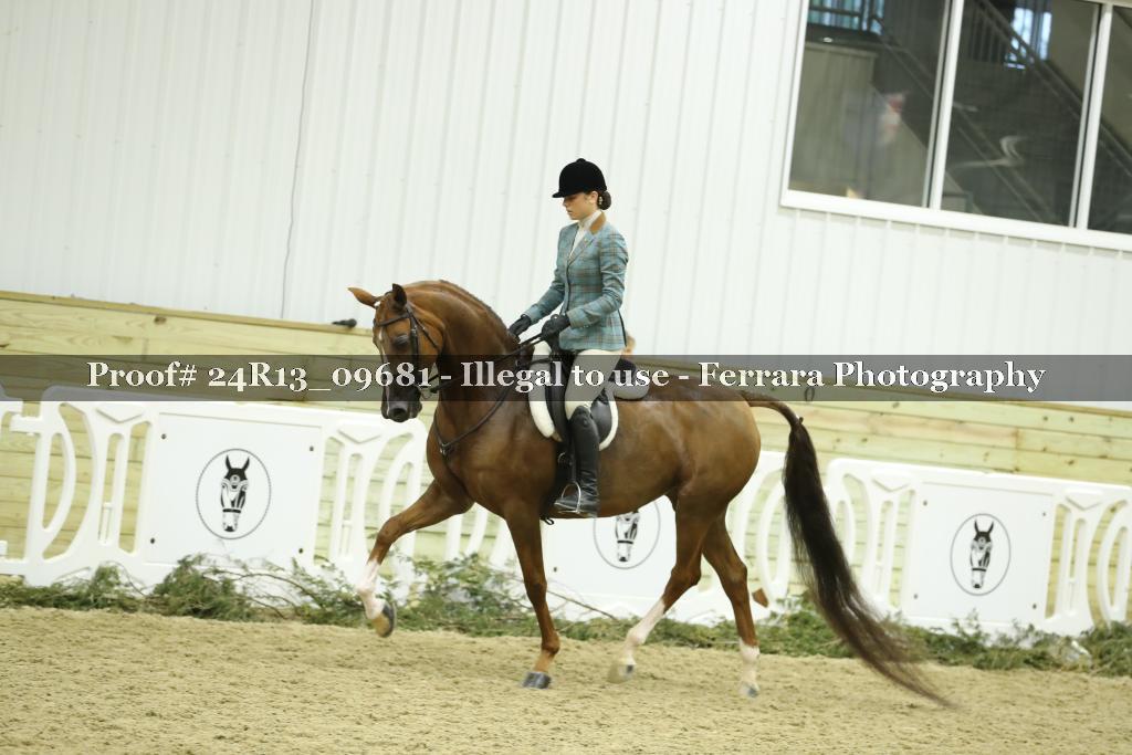 Proof 24R13_09681