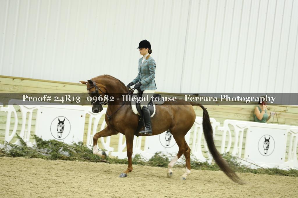 Proof 24R13_09682