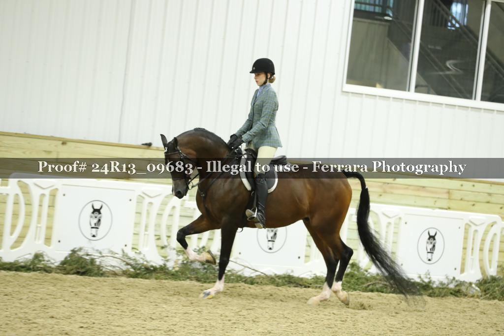 Proof 24R13_09683