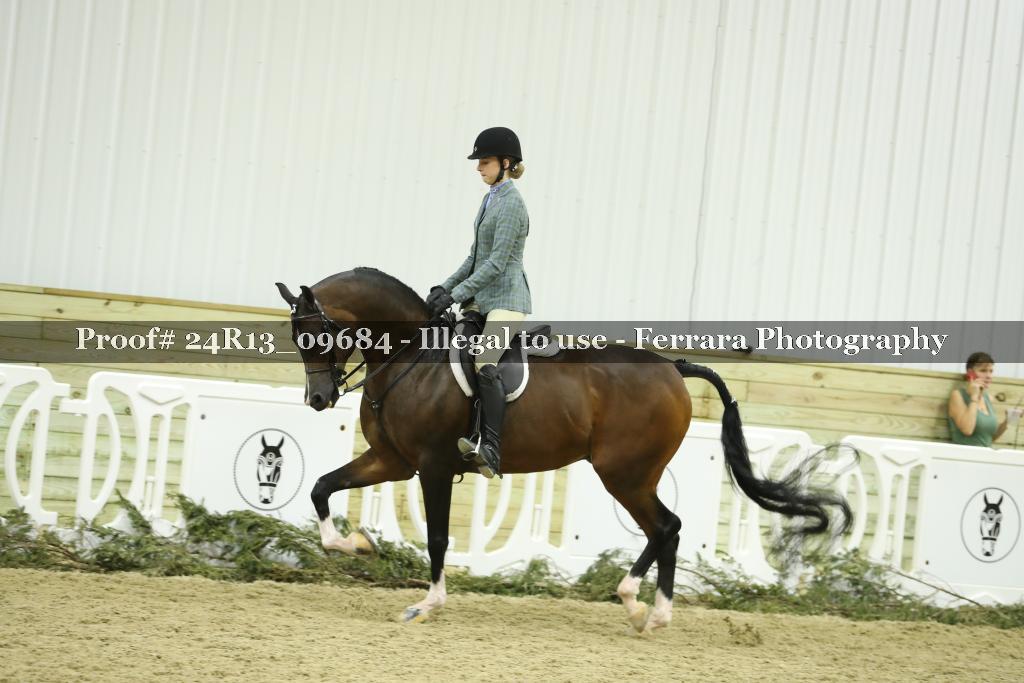 Proof 24R13_09684