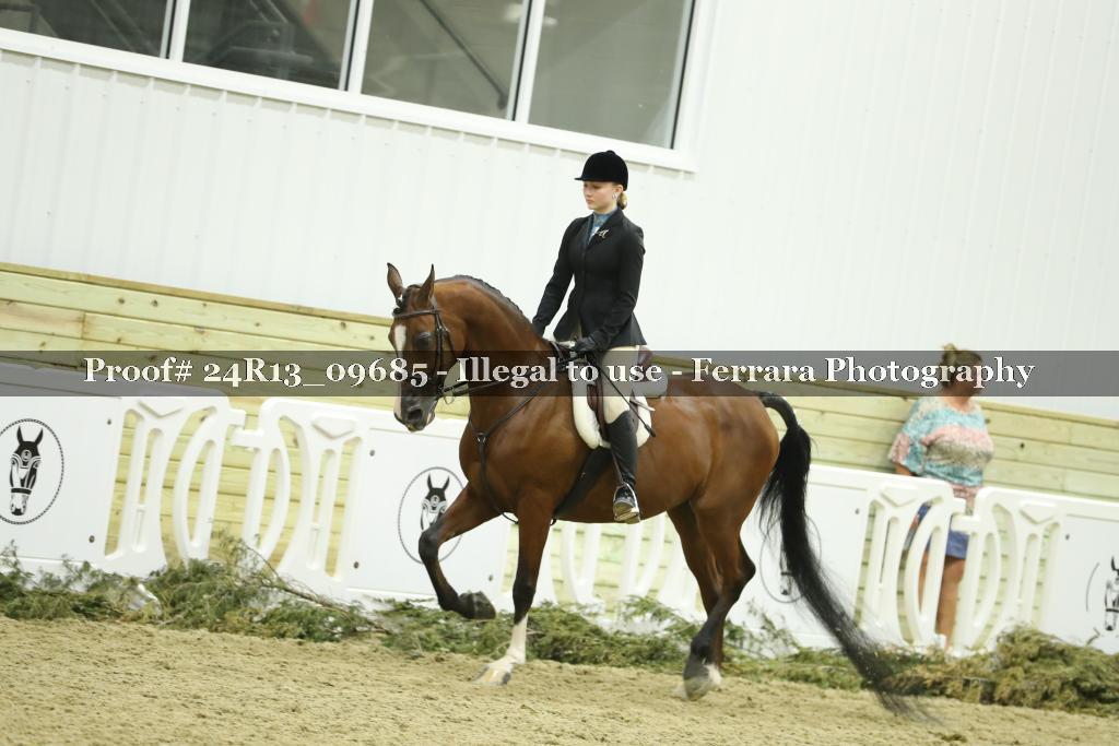 Proof 24R13_09685