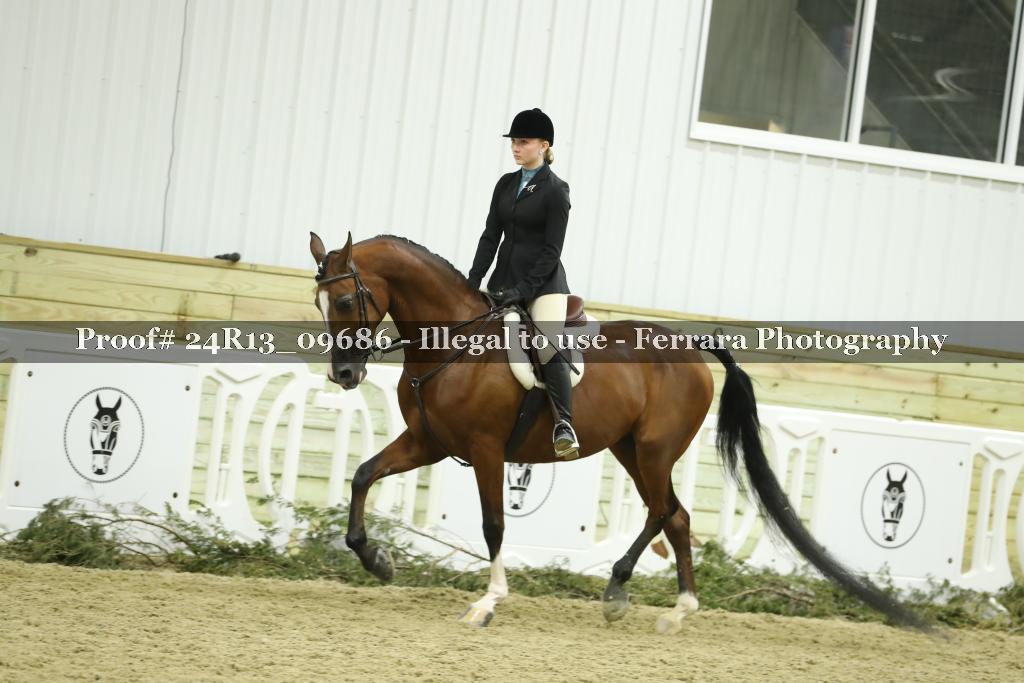 Proof 24R13_09686