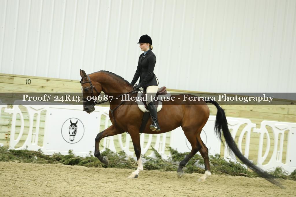 Proof 24R13_09687