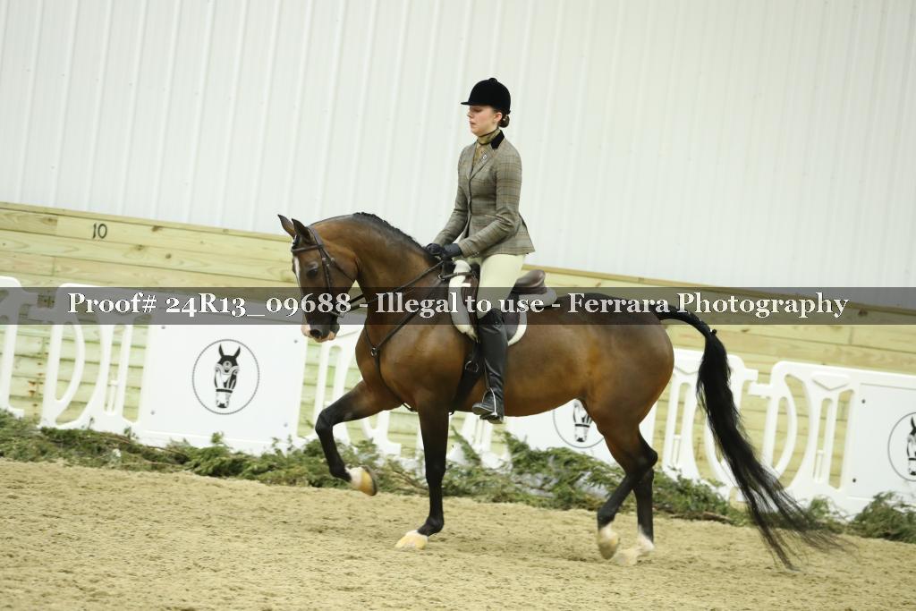 Proof 24R13_09688