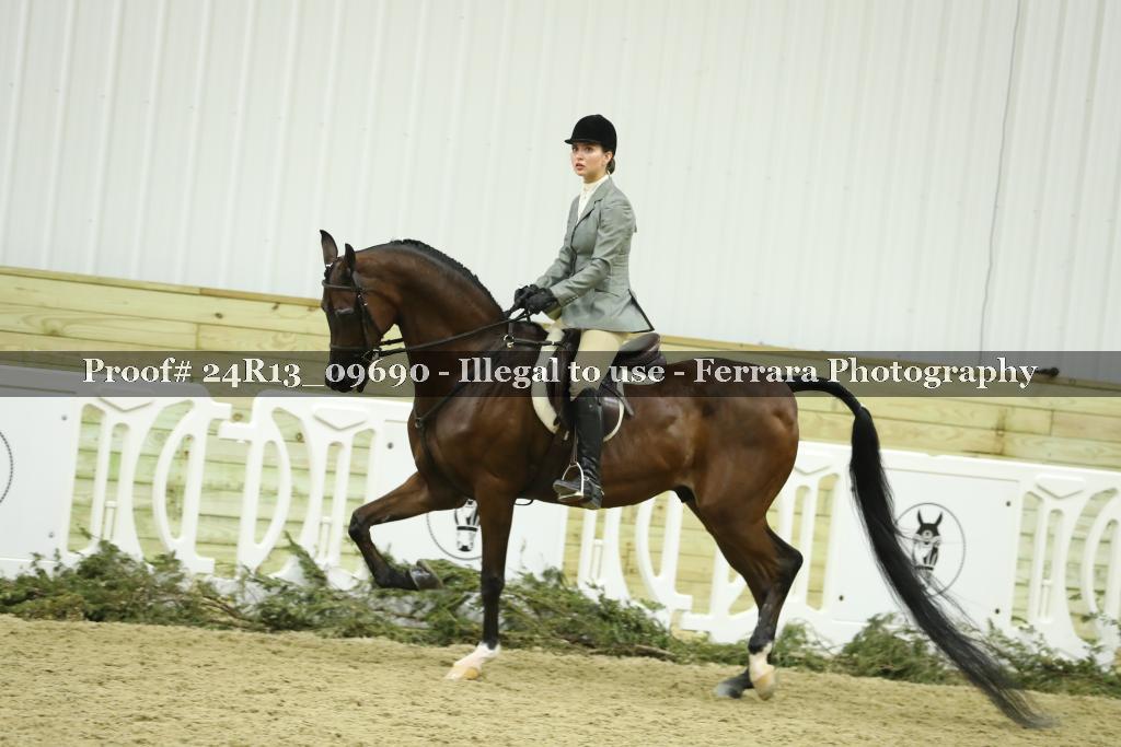 Proof 24R13_09690