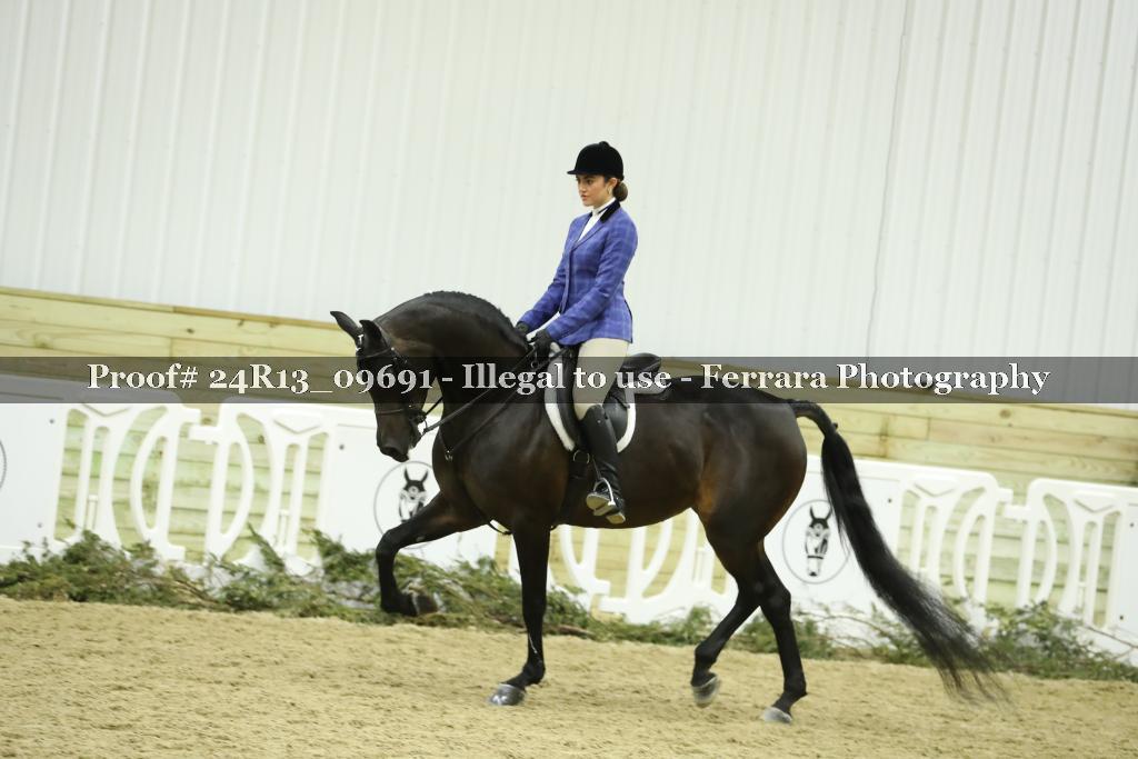 Proof 24R13_09691