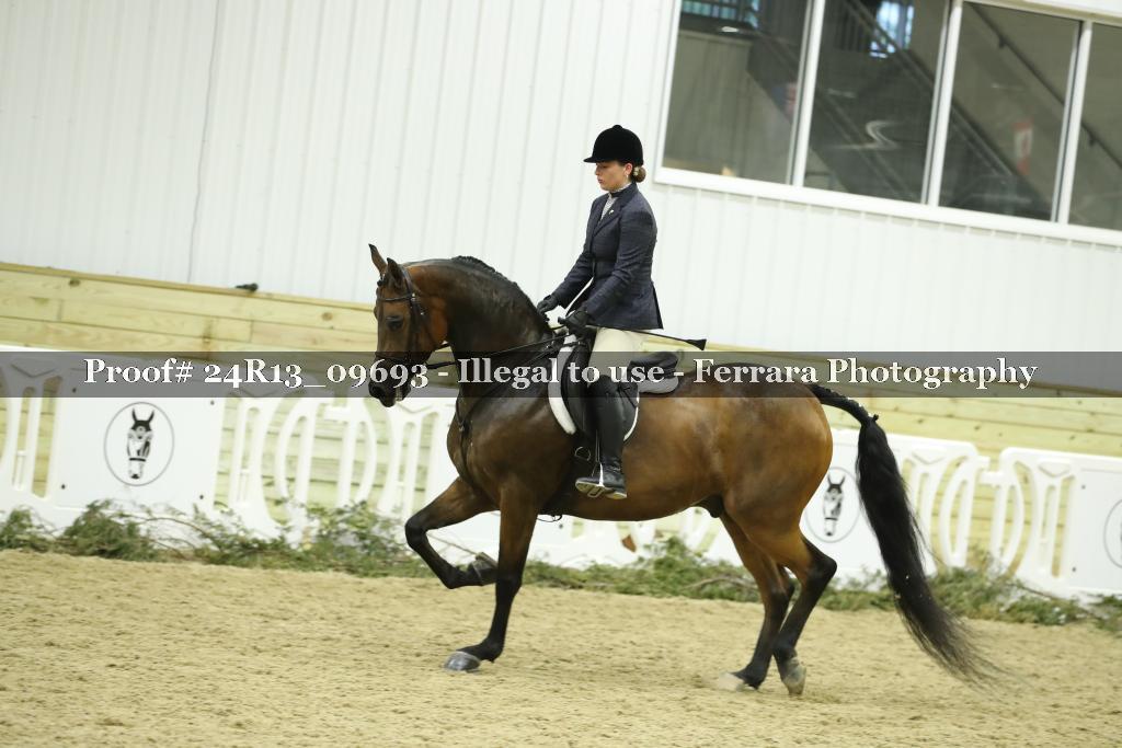 Proof 24R13_09693