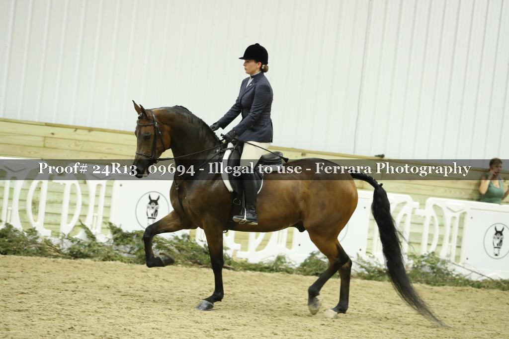 Proof 24R13_09694