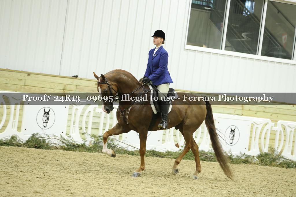 Proof 24R13_09695