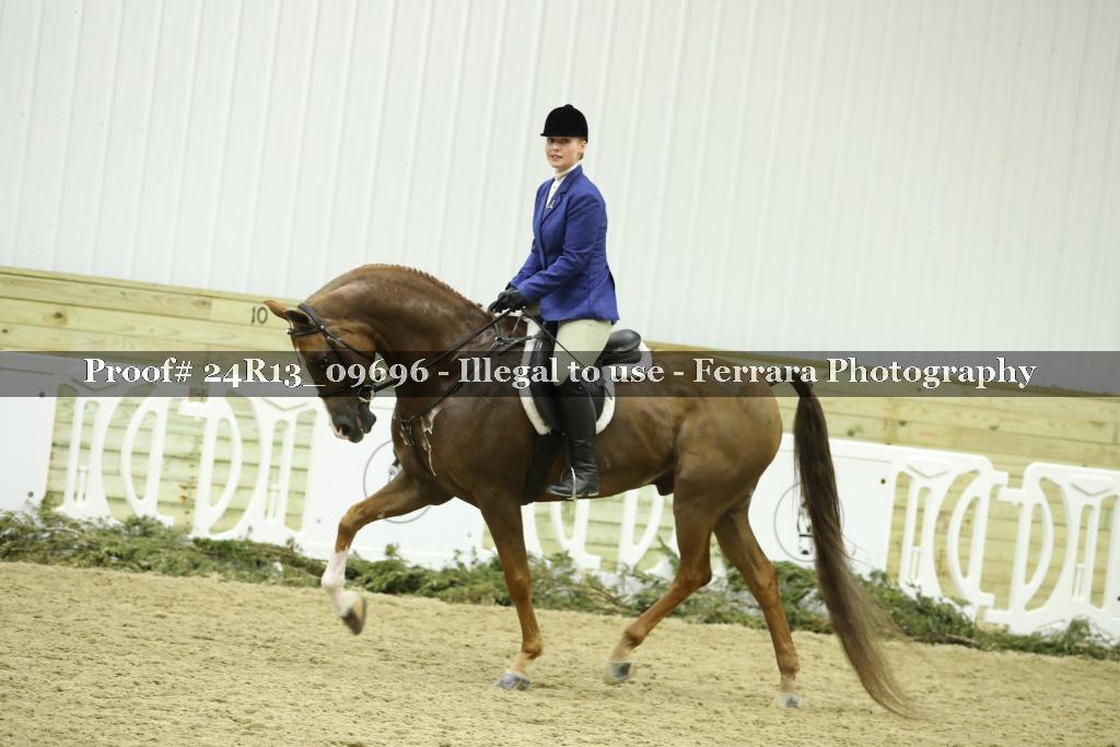 Proof 24R13_09696
