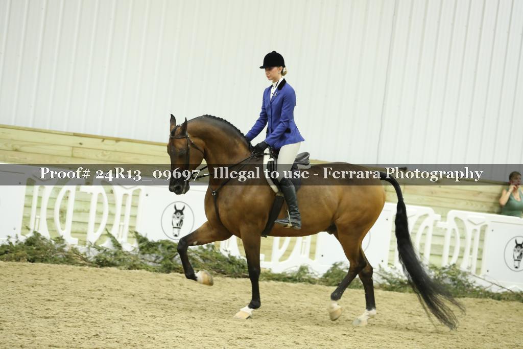 Proof 24R13_09697