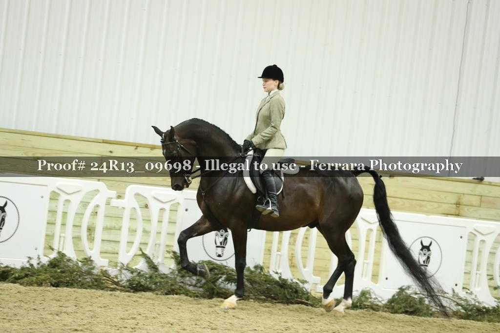 Proof 24R13_09698