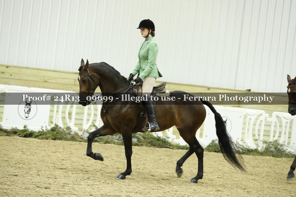 Proof 24R13_09699