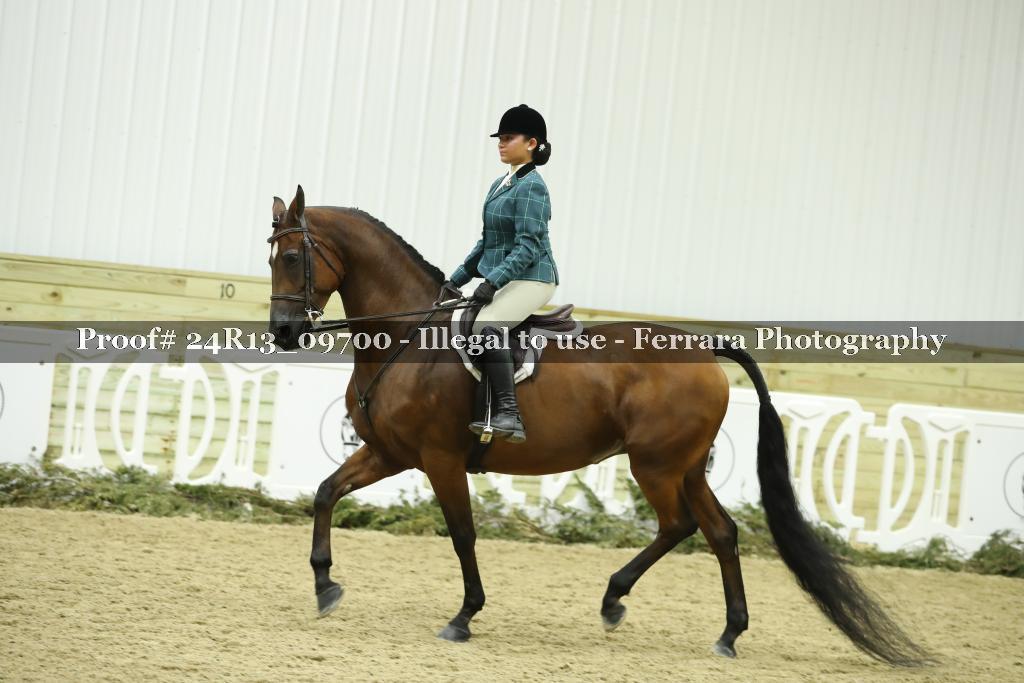 Proof 24R13_09700