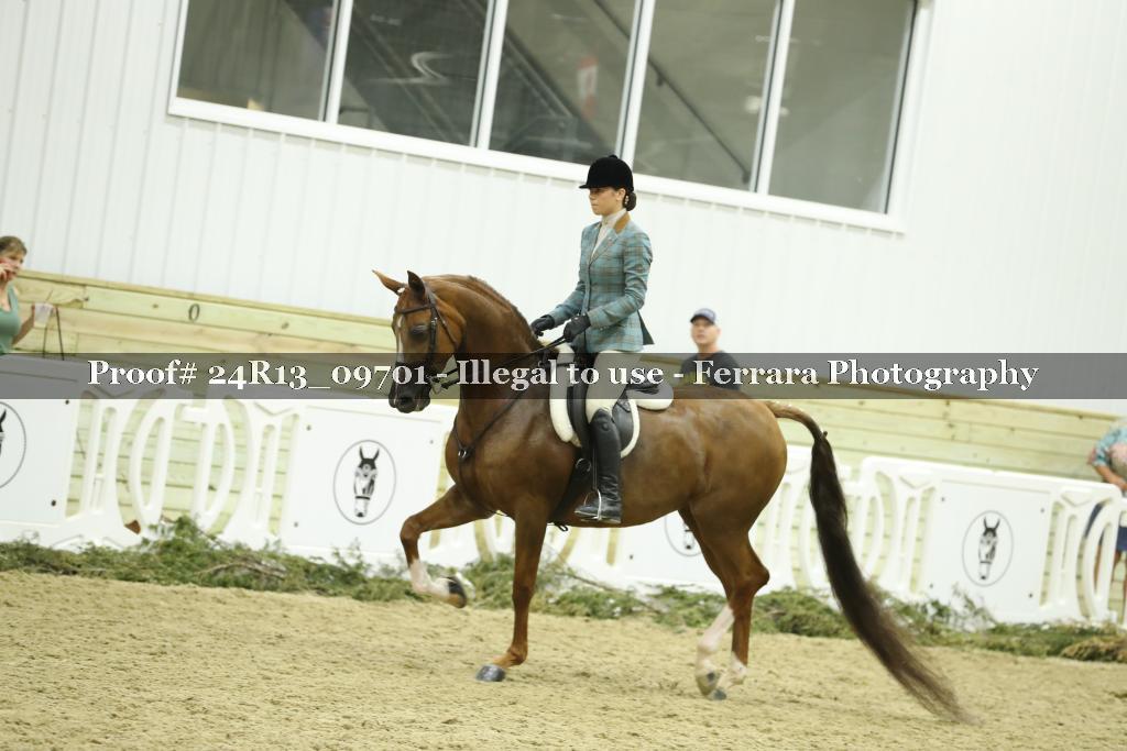 Proof 24R13_09701