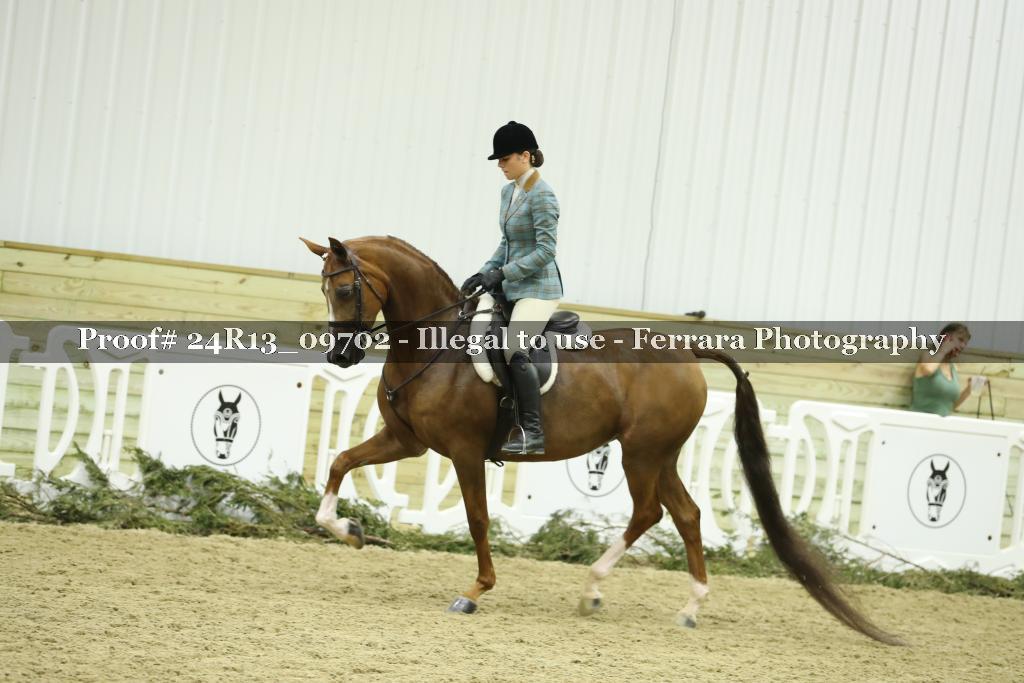 Proof 24R13_09702