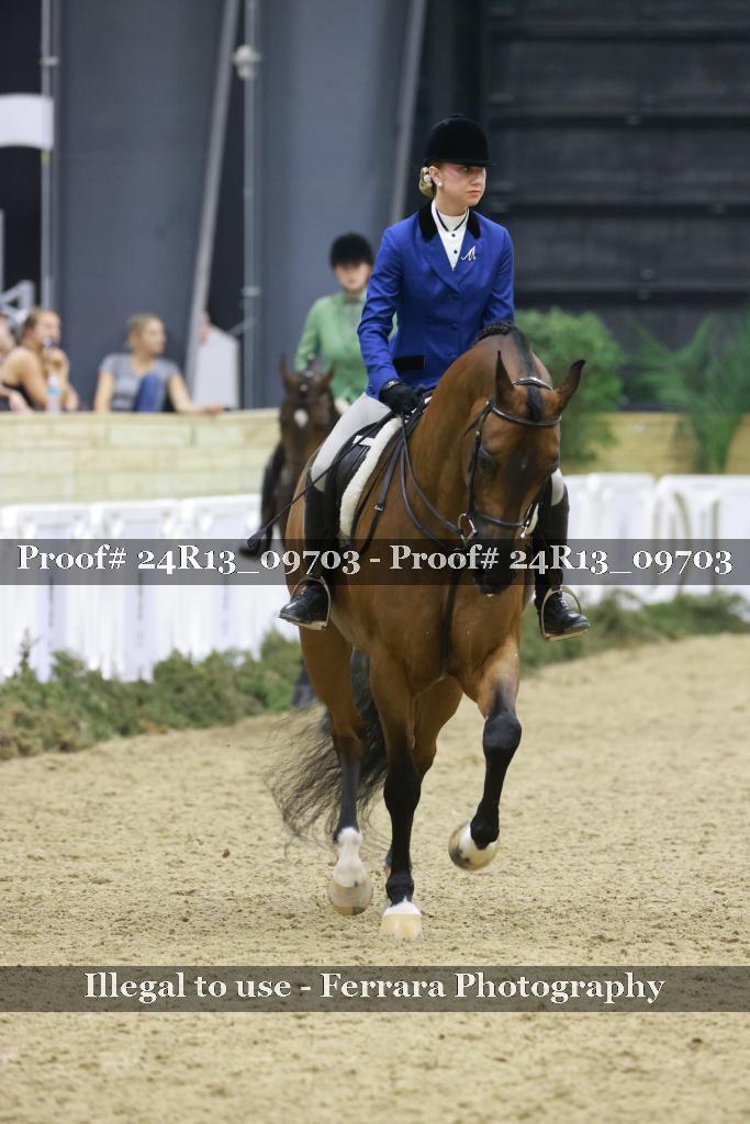 Proof 24R13_09703