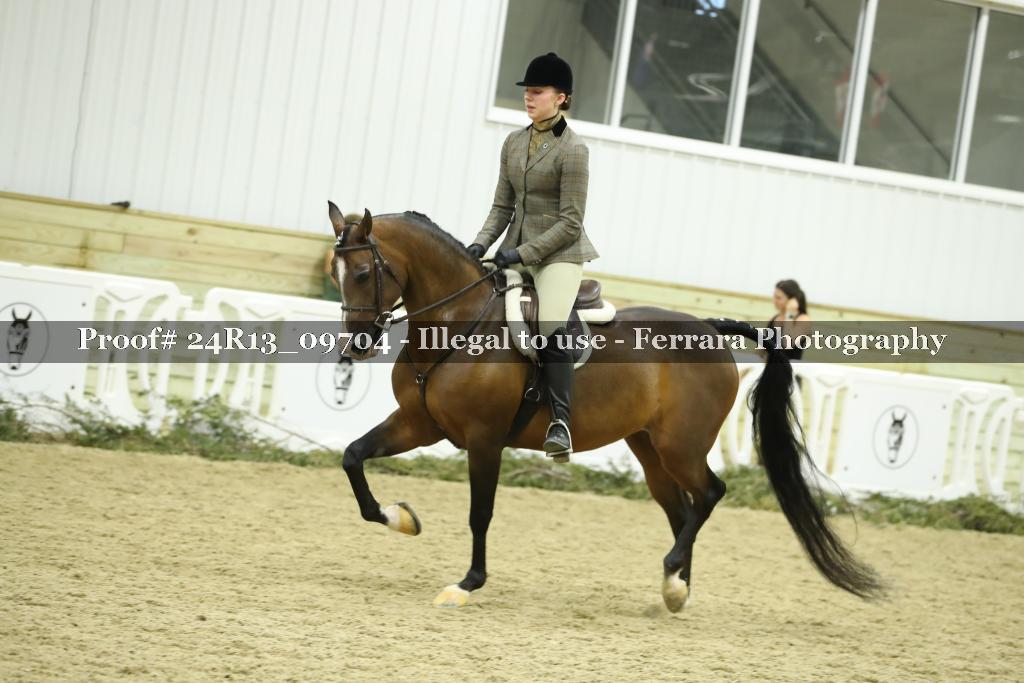 Proof 24R13_09704