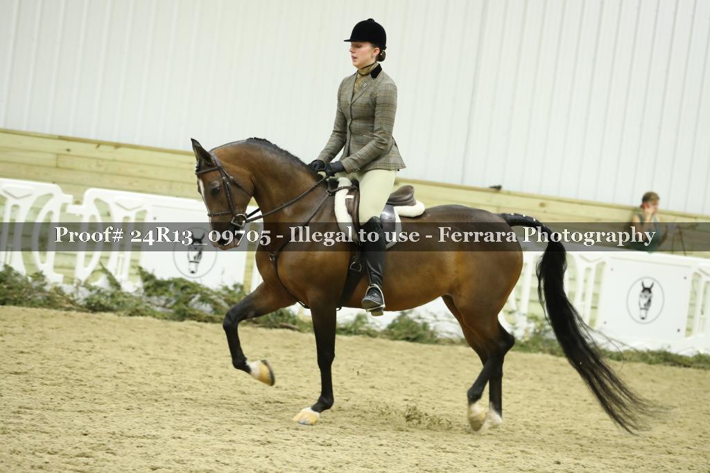 Proof 24R13_09705